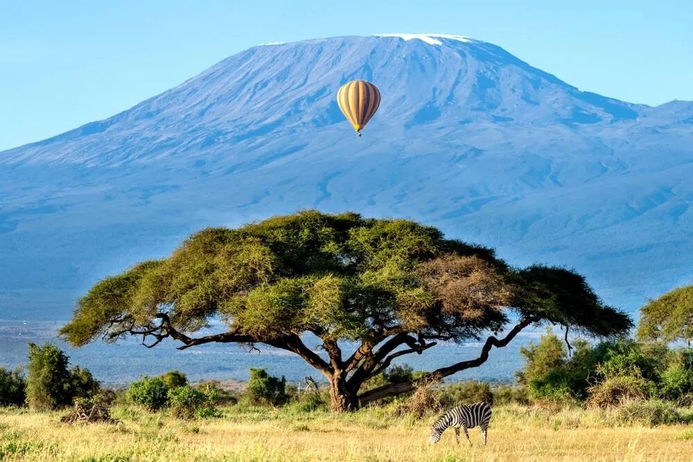 肯尼亚旅游全攻略|必去景点+避坑指南+行程推荐