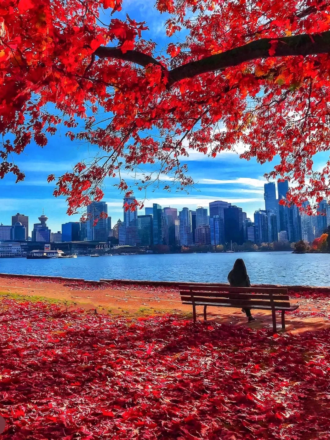 加拿大旅游终极攻略|概况+Tips+景点+加东加西路线！