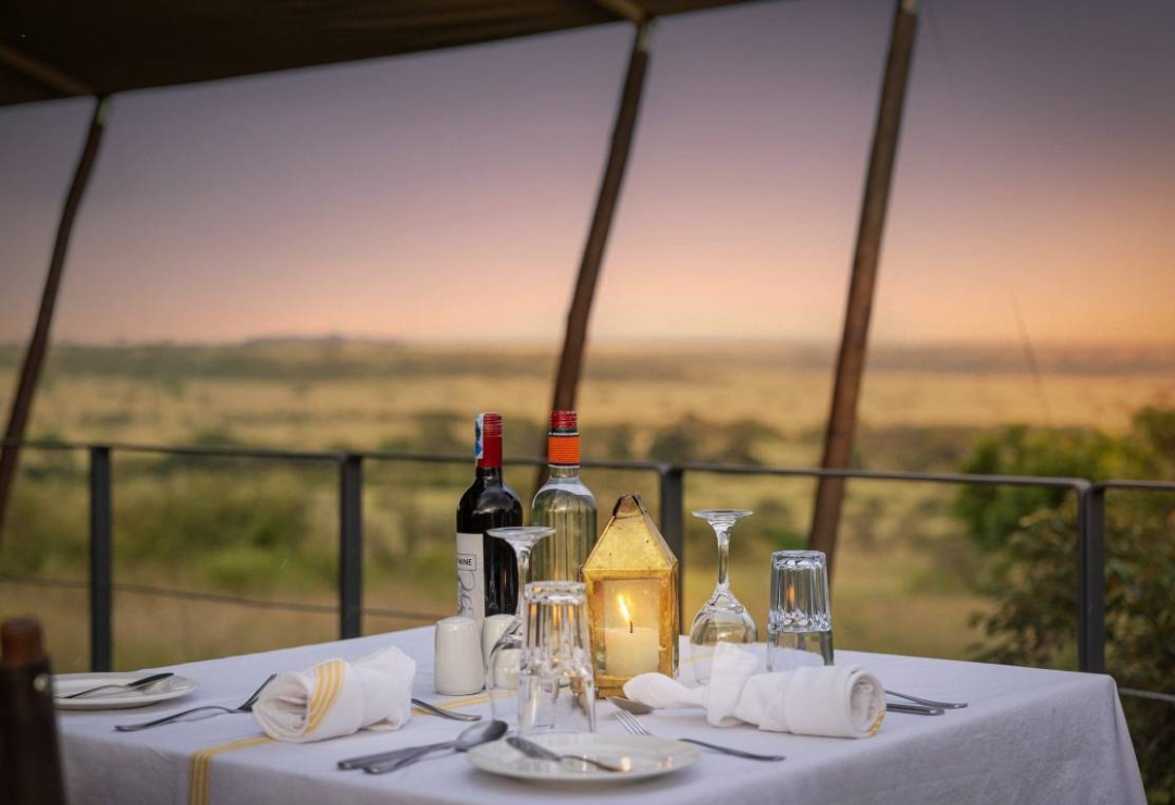 肯尼亚旅游全攻略|必去景点+避坑指南+行程推荐