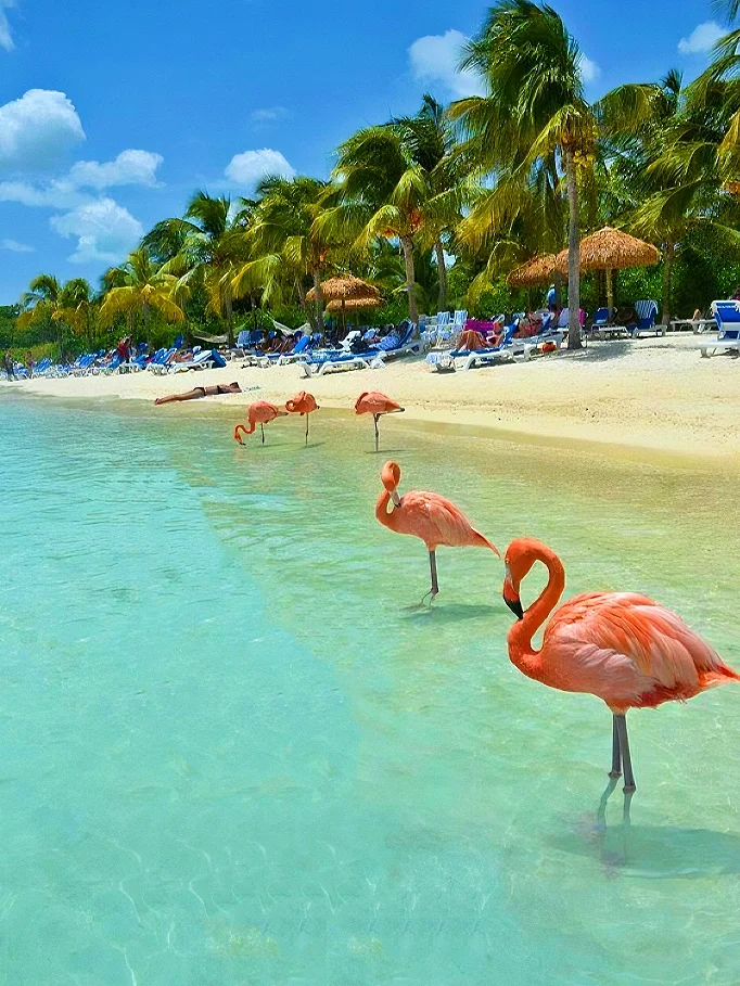 坎昆旅游全攻略|带你解锁加勒比海宝藏度假地