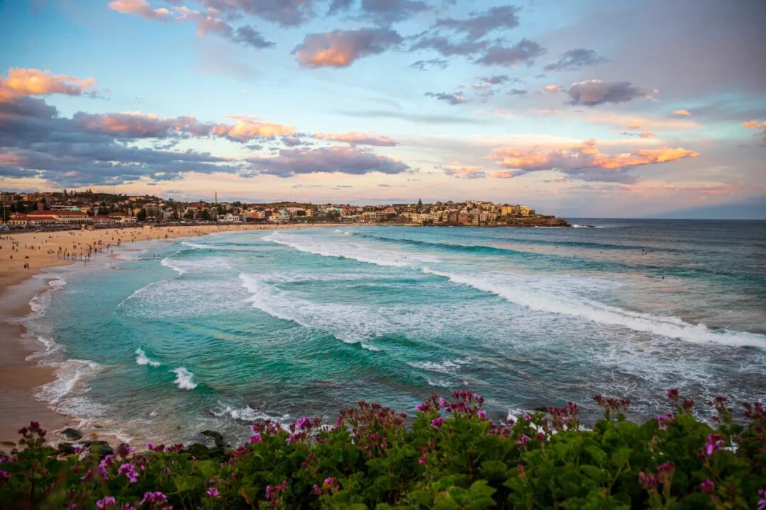 新南威尔士州旅游保姆级攻略：景点/交通/美食/住宿