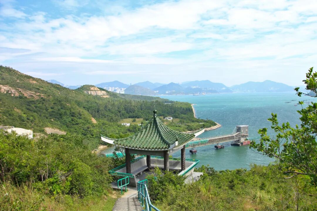 香港旅游全攻略|景点、美食、购物、景点、交通