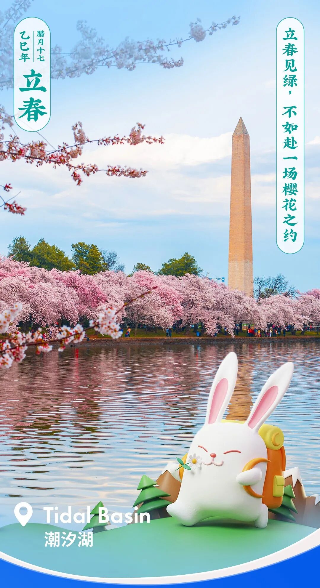 立春见绿 | 不如奔赴华盛顿，赴一场樱花之旅