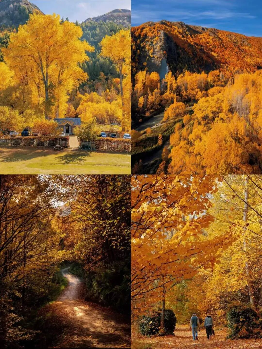 新西兰最佳赏秋时间