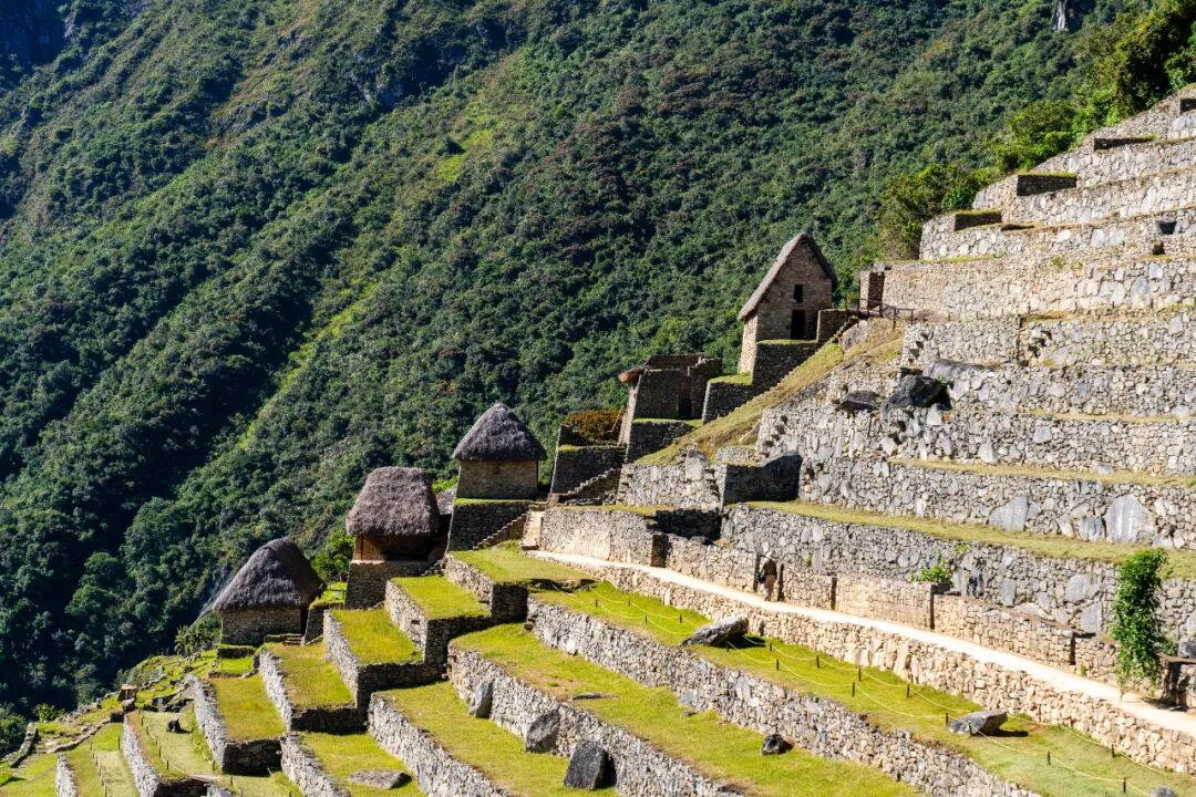 走进马丘比丘：对话诸神的天空之城，邂逅萌趣大羊驼