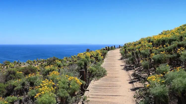 杜姆角州立海灘