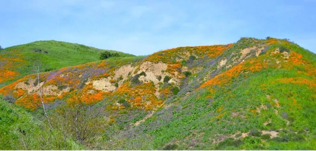 奇諾崗州立公園