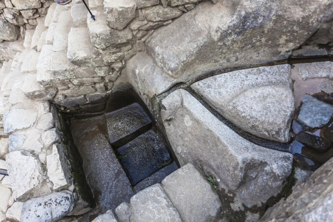 走进马丘比丘：对话诸神的天空之城，邂逅萌趣大羊驼