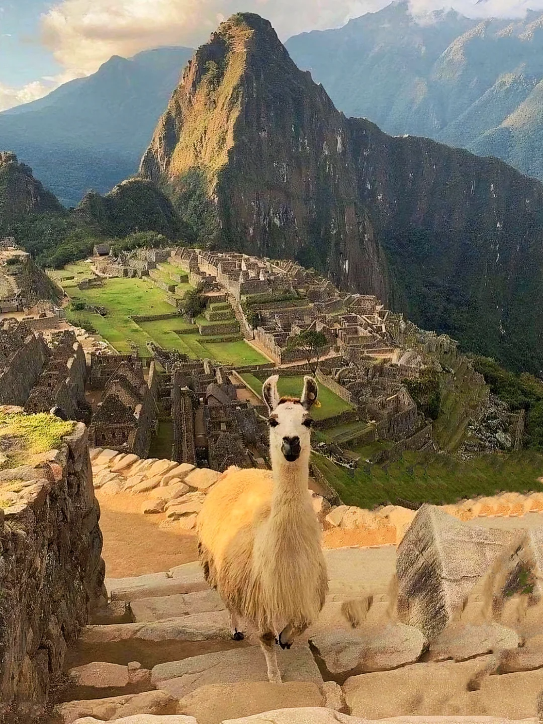 走进马丘比丘：对话诸神的天空之城，邂逅萌趣大羊驼
