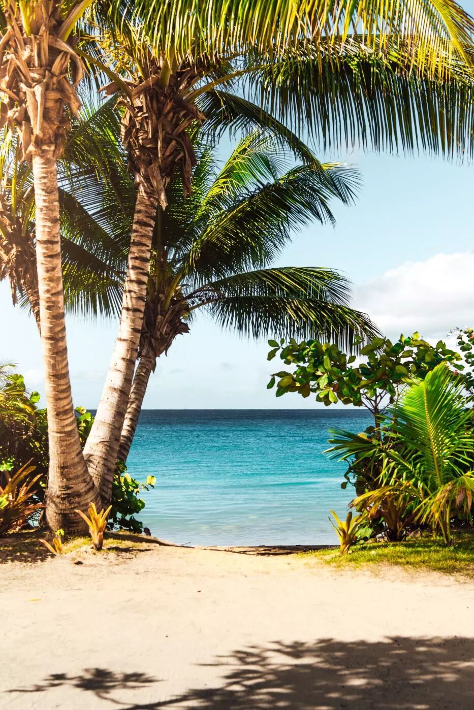 真心建议，去夏威夷旅游就这样玩！