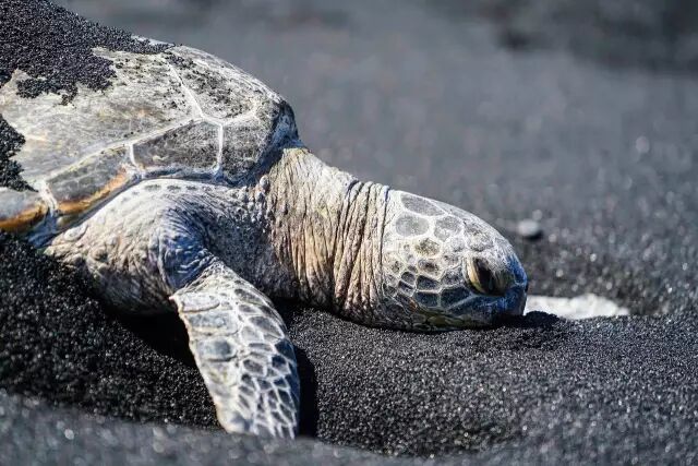 真心建议，去夏威夷旅游就这样玩！