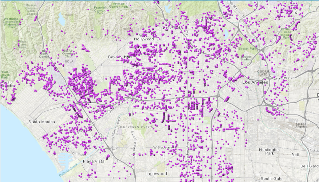 洛杉矶蓝花楹赏花全攻略|你最钟意哪条街道的蓝花楹? 洛杉矶蓝花楹赏花全攻略|你最钟意哪条街道的蓝花楹?
