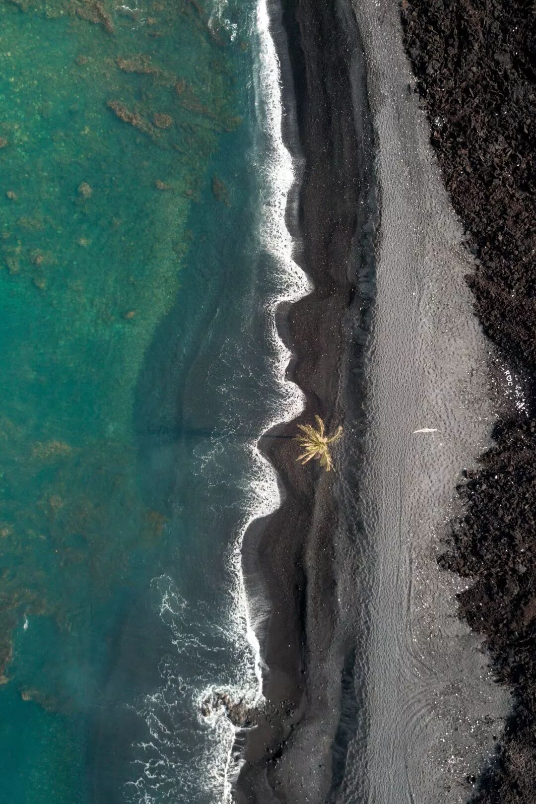 真心建议，去夏威夷旅游就这样玩！