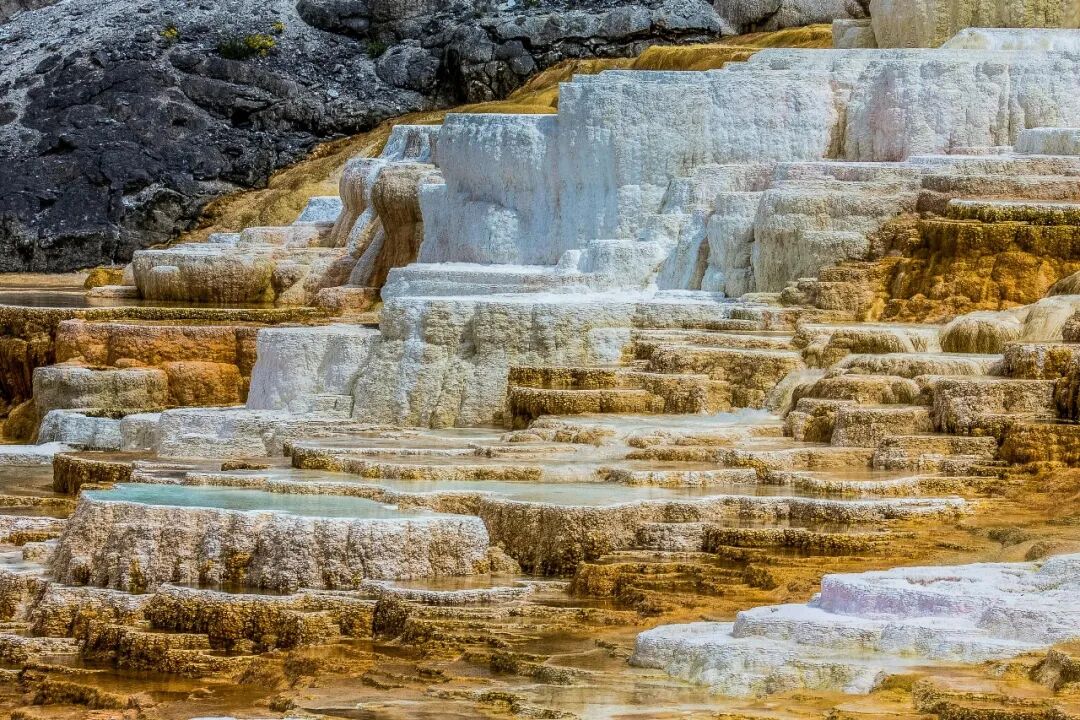 去黄石旅游就这样玩 | 老美达人带团、连住2晚公园内峡谷酒店！